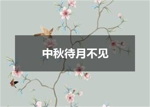 中秋待月不见
