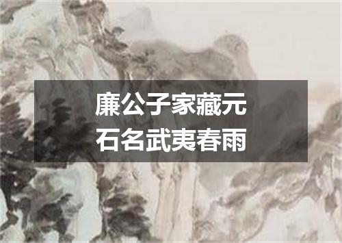 廉公子家藏元石名武夷春雨