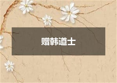 赠韩道士