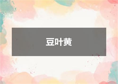 豆叶黄