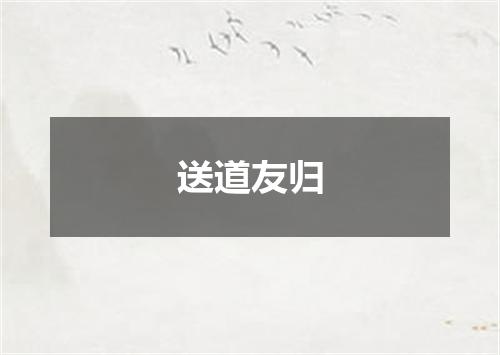 送道友归