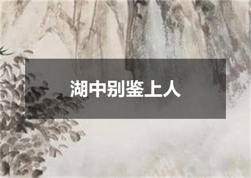 湖中别鉴上人