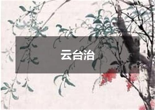 云台治