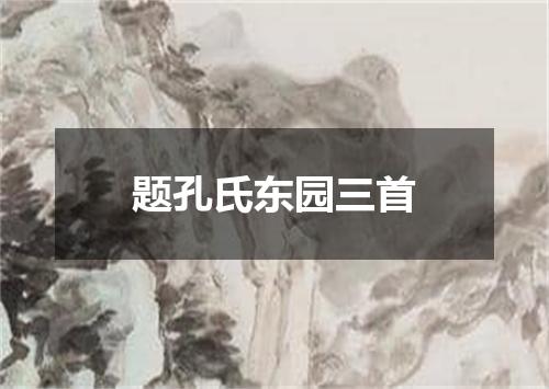 题孔氏东园三首