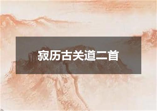 寂历古关道二首