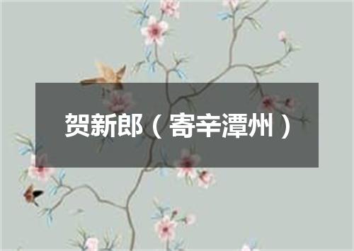 贺新郎（寄辛潭州）