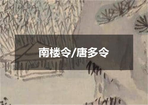 南楼令/唐多令