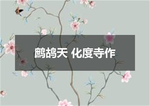 鹧鸪天 化度寺作