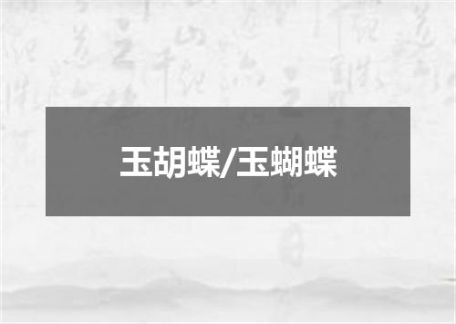 玉胡蝶/玉蝴蝶