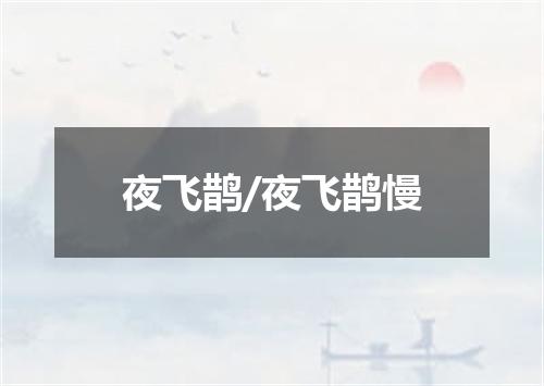 夜飞鹊/夜飞鹊慢