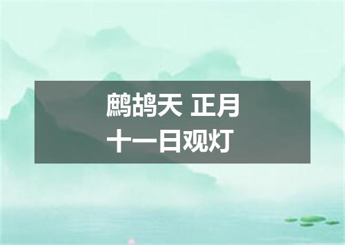 鹧鸪天 正月十一日观灯
