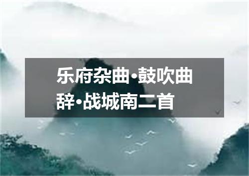 乐府杂曲·鼓吹曲辞·战城南二首