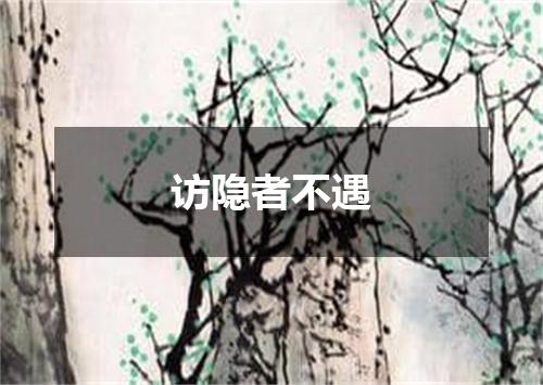 访隐者不遇