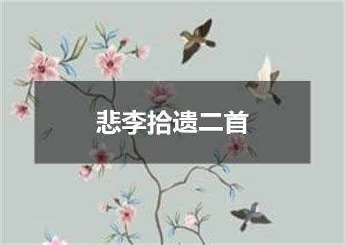 悲李拾遗二首