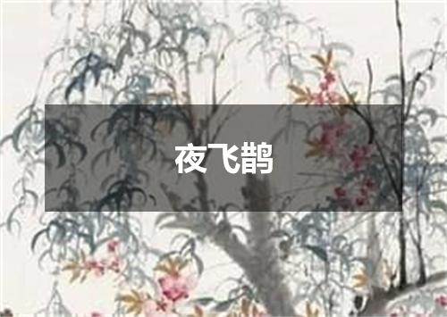 夜飞鹊