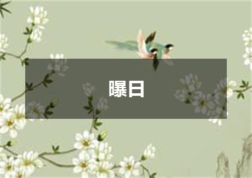 曝日