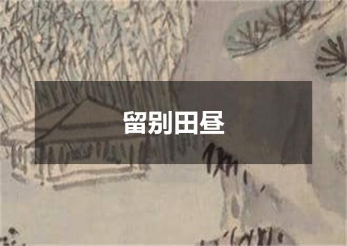 留别田昼