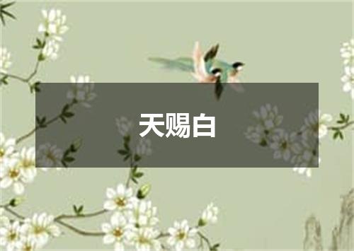 天赐白