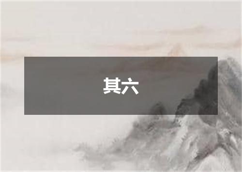 其六