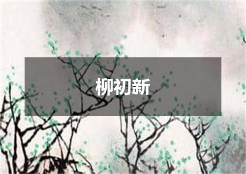 柳初新