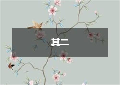 其二