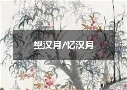望汉月/忆汉月