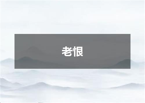 老恨