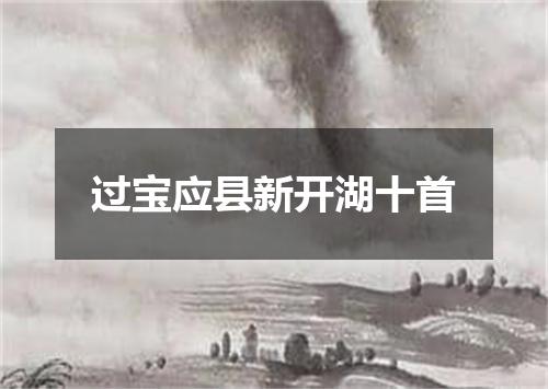 过宝应县新开湖十首