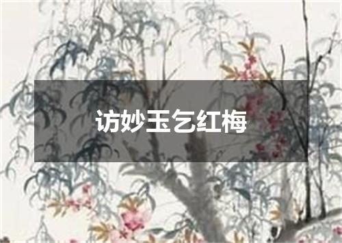 访妙玉乞红梅