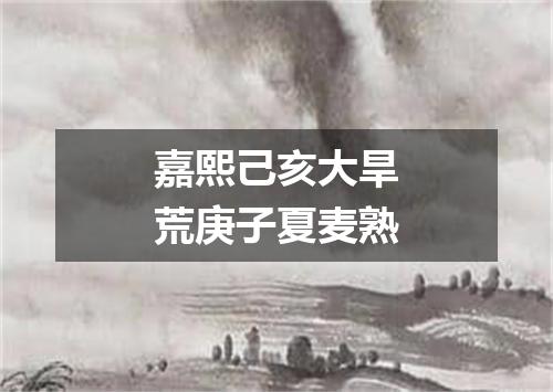 嘉熙己亥大旱荒庚子夏麦熟