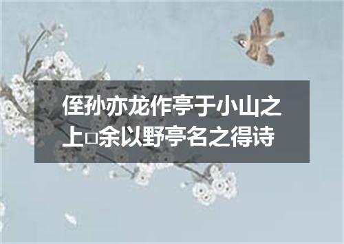 侄孙亦龙作亭于小山之上□余以野亭名之得诗