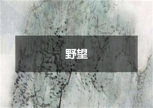 野望