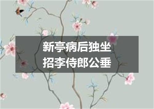 新亭病后独坐招李侍郎公垂