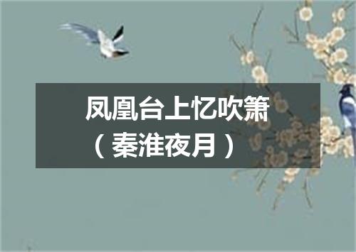 凤凰台上忆吹箫（秦淮夜月）