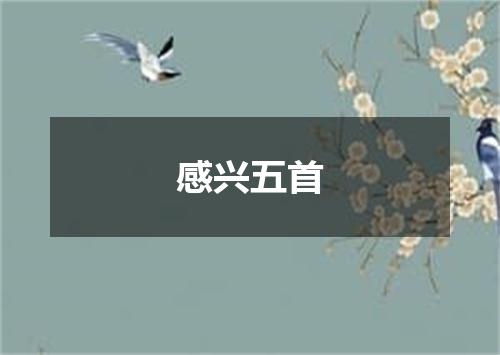 感兴五首