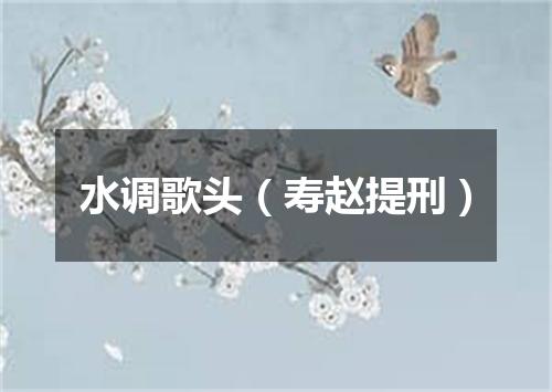 水调歌头（寿赵提刑）