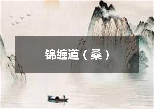 锦缠道（桑）