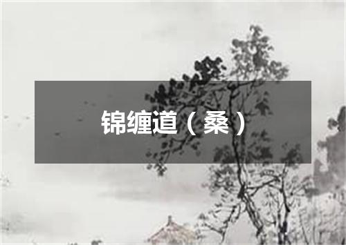 锦缠道（桑）