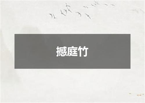 撼庭竹