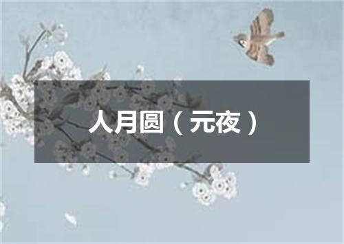 人月圆（元夜）
