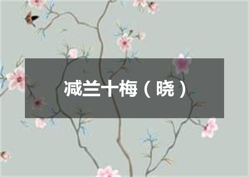 减兰十梅（晓）