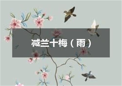 减兰十梅（雨）