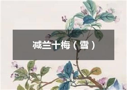 减兰十梅（雪）
