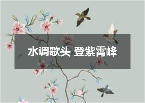 水调歌头 登紫霄峰