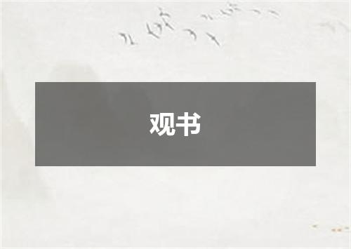 观书