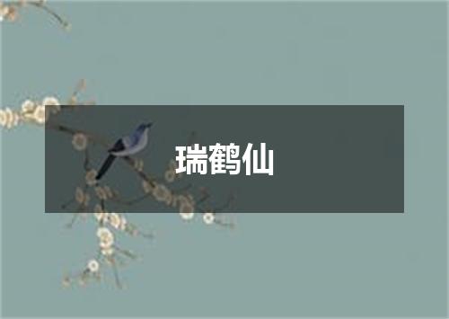 瑞鹤仙