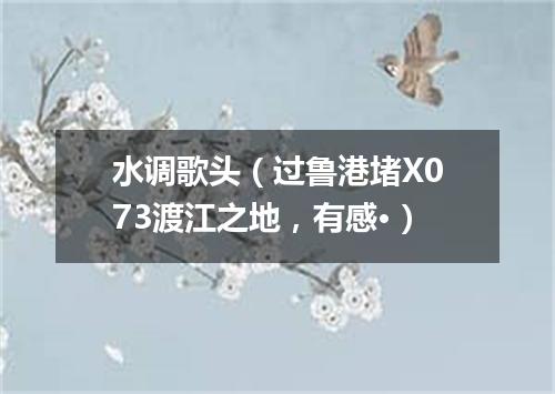 水调歌头（过鲁港堵X073渡江之地，有感·）