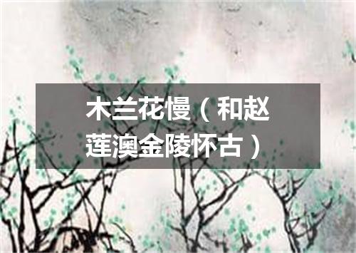 木兰花慢（和赵莲澳金陵怀古）