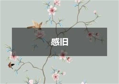 感旧