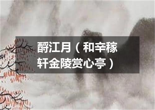 酹江月（和辛稼轩金陵赏心亭）